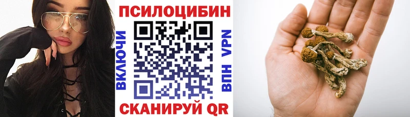 hydra сайт  купить закладку  Туапсе  Галлюциногенные грибы GOLDEN TEACHER 